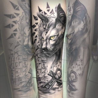 Кот