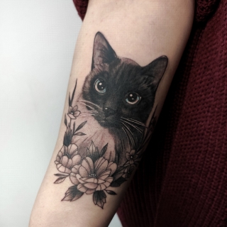 Кот