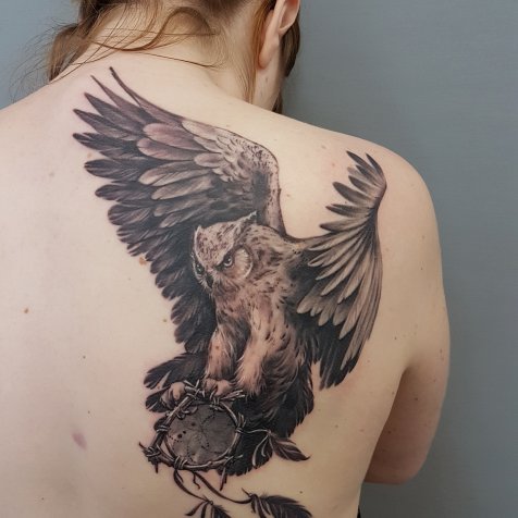 Сова