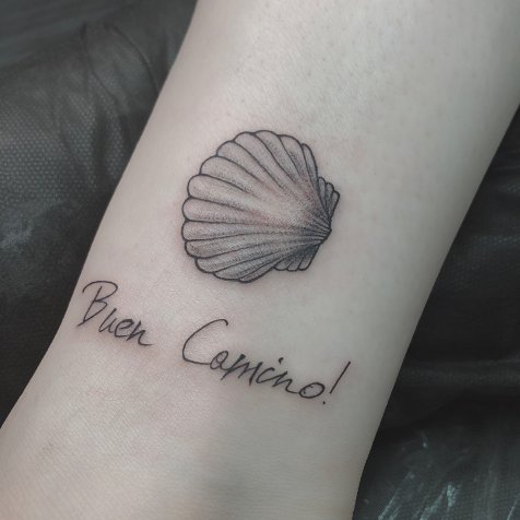 ракушка и надпись