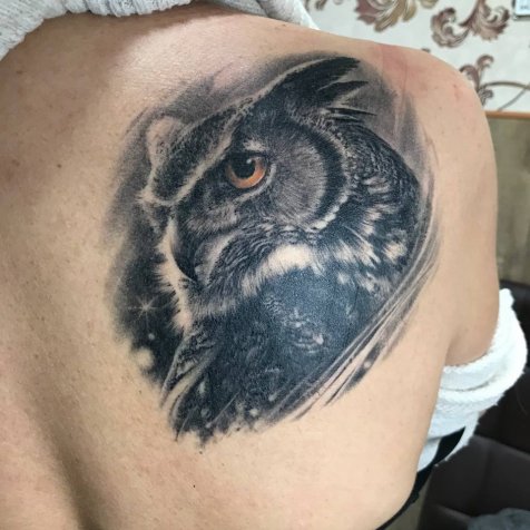 сова