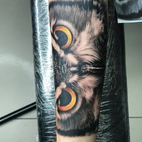сова